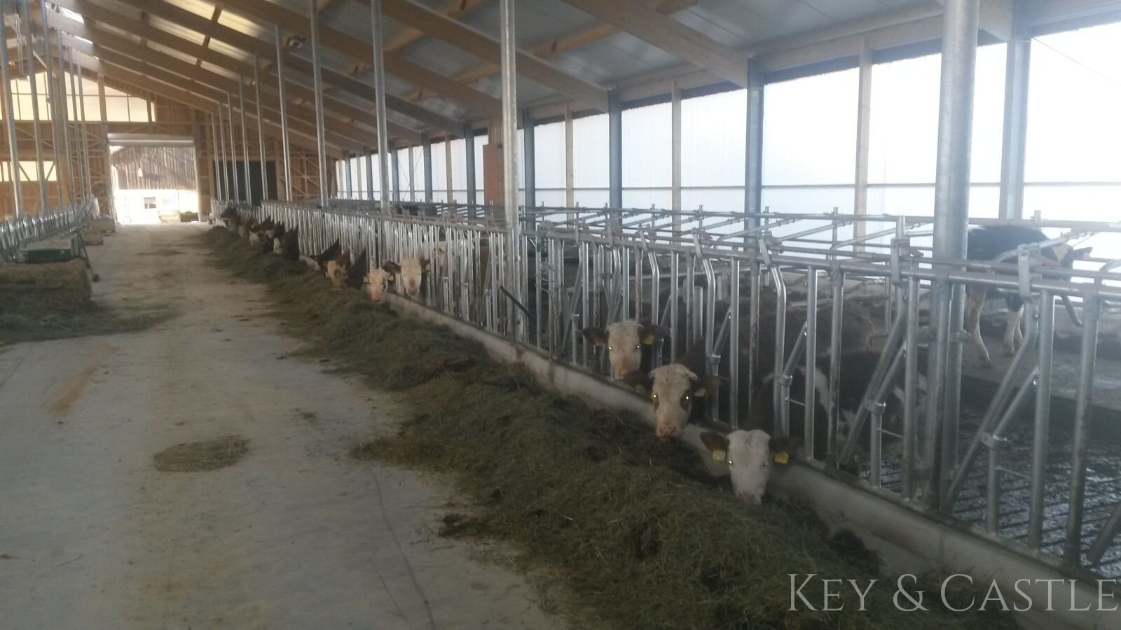 Neuwertiges Stallgebäude von 2018- bei Nürnberg *Auch für Pferdehalter interessant! Neuwertiges Stallgebäude von 2018- bei Nürnberg *Auch für Pferdehalter interessant!