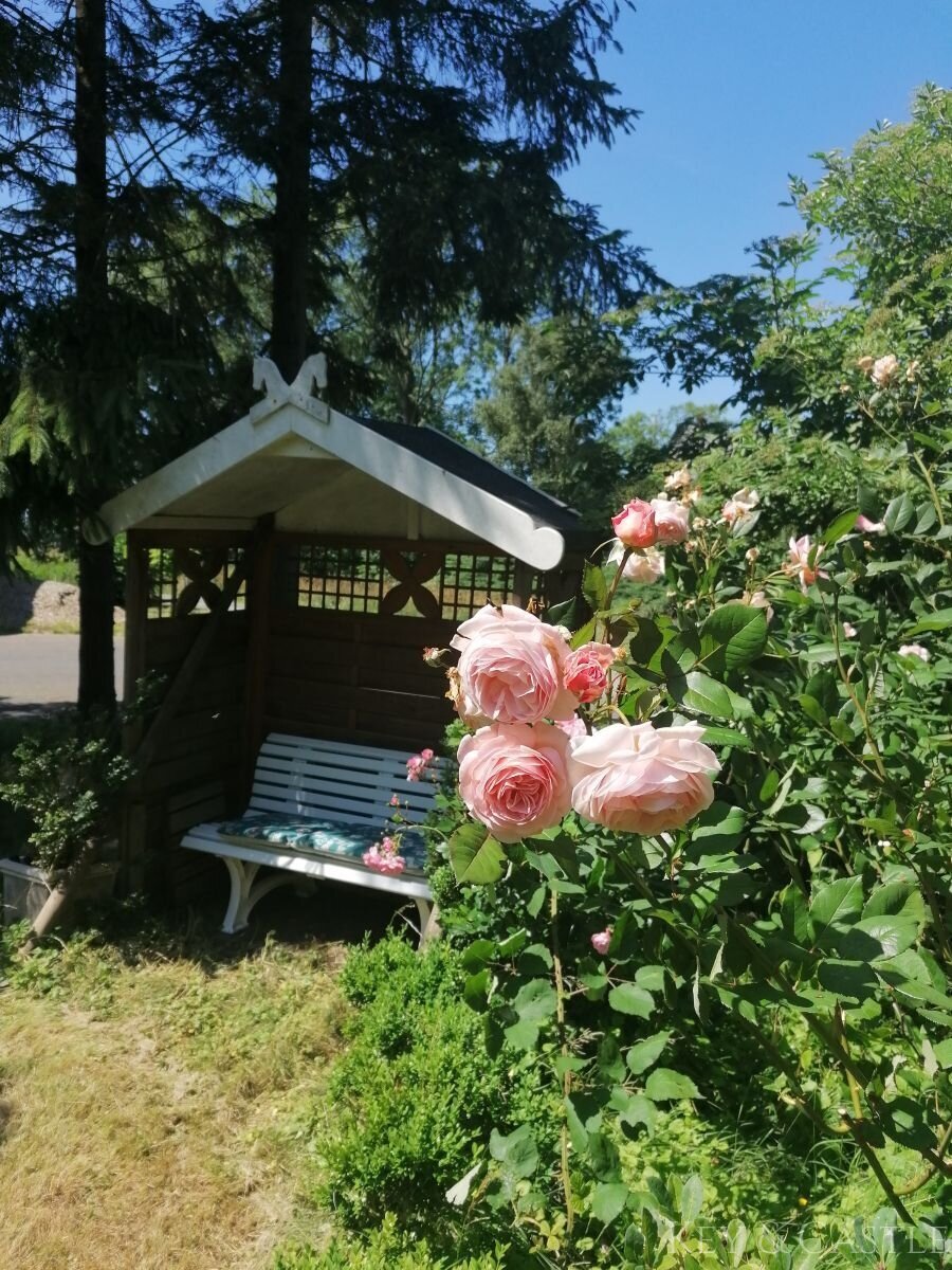 Vorgarten mit Sitzecke  Hauseingangsseite 