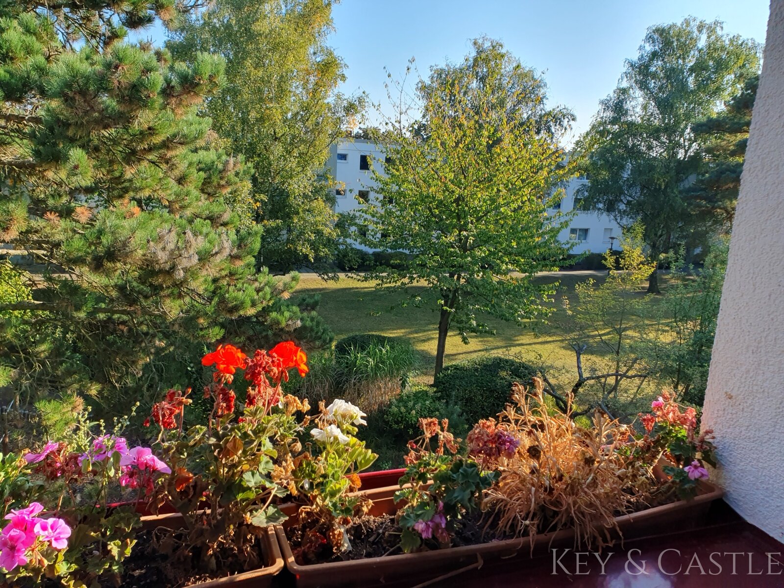 Loggia Aussicht im Sommer