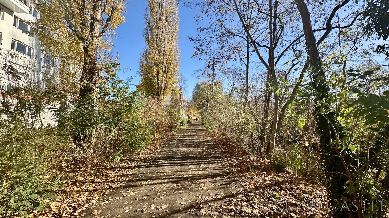 Potenzialwunder am Uferweg: Teilsanierte 2-Zimmer-Oase mit Wasserblick-Nähe Potenzialwunder am Uferweg: Teilsanierte 2-Zimmer-Oase mit Wasserblick-Nähe